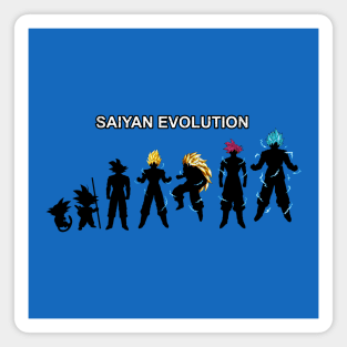 Evolution Anime Manga Superhero Warrior Gift For Anime Lovers Magnet